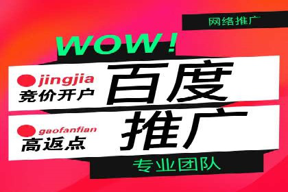 SEM推广实战：案例分析及优化建议